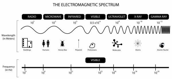 Infographic over het elektromagnetisch spectrum: van radiogolven tot gammastralen. Foto: Jonathan S Urie, via Wikimedia Commons, CC BY-SA 3.0