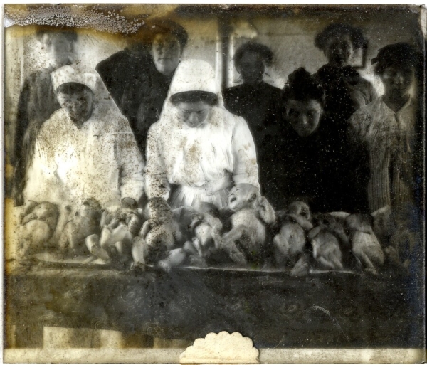 Negen borelingen met zusters en moeders in het moederhuis van Roesbrugge (1916-1919), Stadsarchief Ieper, Collectie F34 - Glasnegatieven Hector Dehaeck