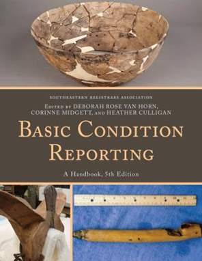 Basic Condition Reporting, 5th edition