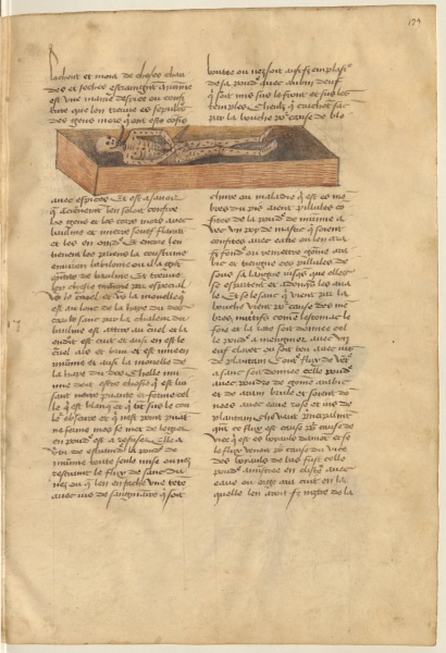 Matthaeus Platearius, Livre des simples médecines