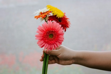 Iemand geeft bloemen aan een ander. Foto: Binit Sharma via Unsplash