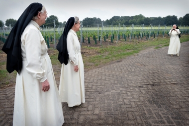 Zusters te midden van een wijngaard. Foto: Marcel van de Bergh