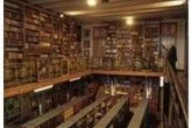 Abdijbibliotheek Bornem