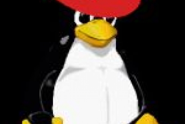 Pinguïn met rode hoed