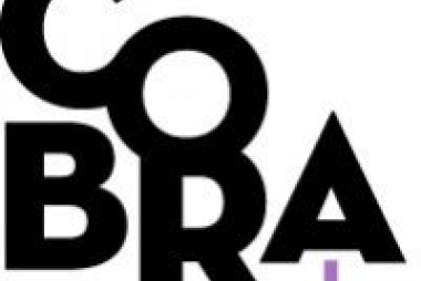 logo Cobra.be