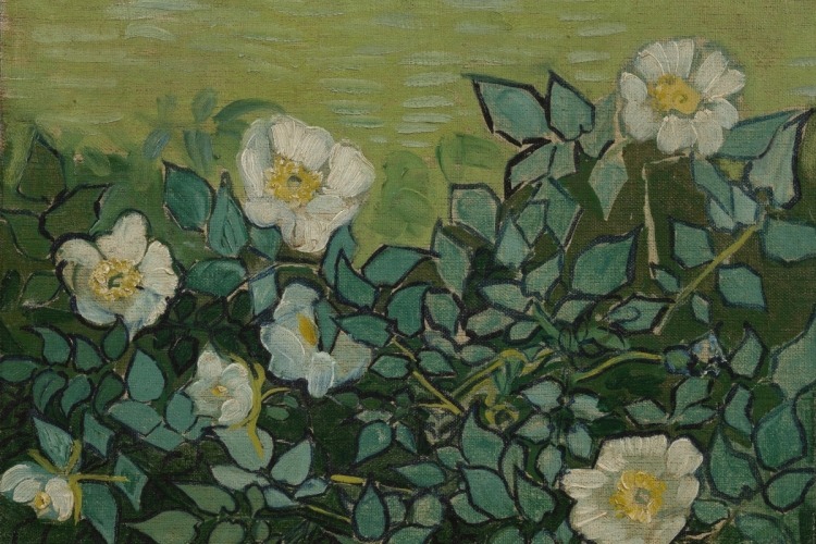 Wilde rozen, Vincent van Gogh (1853-1890), Saint-Rémy-de-Provence, mei-juni 1889. Olieverf op doek, 24.5 cm x 33.5 cm. Credits: Van Gogh Museum, Amsterdam (Vincent van Gogh Stichting)